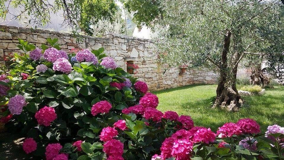 Apartments Villa Ina Брсеч Экстерьер фото